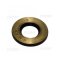 Star 31923 OIL SEAL m34x17x4 (Ref/-1410283006)-7033-94