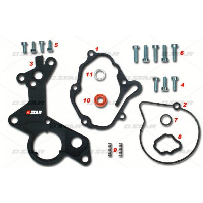 Star 60184 kit gasket AUDI VW PUMP Nr.038145209E