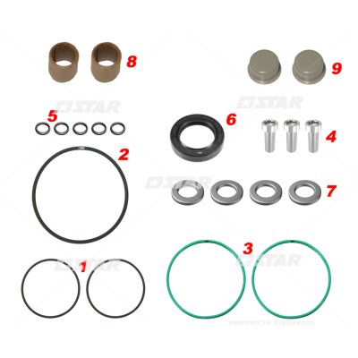 Star 60.166/18 REPAIR KIT C/R DENSO HP6 RE564861