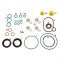 Star 60.137 REPAIR KIT C/RAIL CP3 (Nr.PUMP -0445020175)