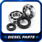 Oil seals and bearings