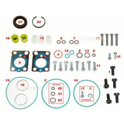 Star 60.139/21 REP/KIT C/RAIL DELPHI DFP3 (Ref/-7135-520)COMPLETE