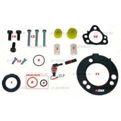 Star 60.139/12 zestaw uszczelka DELPHI DFP6