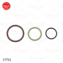 SpacoR 17753  3126-HEUI-INJ.INTERNAL KIT