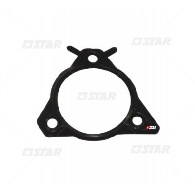 Star 52650/25 FLANGE G/VP 29/30+DELPHI CR (Appl/FORD NEW HOLLAND)