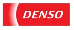Denso 294050-0060R_AD regenerowane pompa wysokiego ciśnienia RE534165