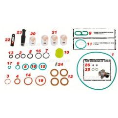 Star 60.139/07 R/KIT DELPHI PUMP DFP1 C/R (Ref/-7135-539=7135-479A)