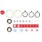 SpacoR 17145RD F 01M 100 275S PARTS SET CR/CP1 + 2 OIL SEALS