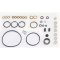 Star 31490 GASKET KIT-VE 20x31x7 (Ref/-0467010059/1=7135-171)