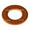 Star 52291 WASHER INJ/DELPHI/SIEMENS (Ref/ -9001-850D)C/RAIL