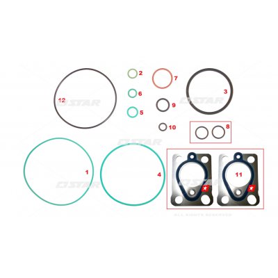 Star 60.139/17 Ремонт/Комплект C/R DELPHI DFP3 (Ref/-7135-681)