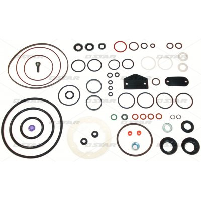 Star 31498/07 zestaw uszczelka pompy STANADYNE 33814