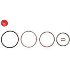 SpacoR 16852RD (EUP Delphi) kit gasket for jednotku EUP