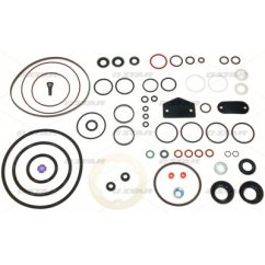 Star 31498/07 zestaw uszczelka pompy STANADYNE 33814